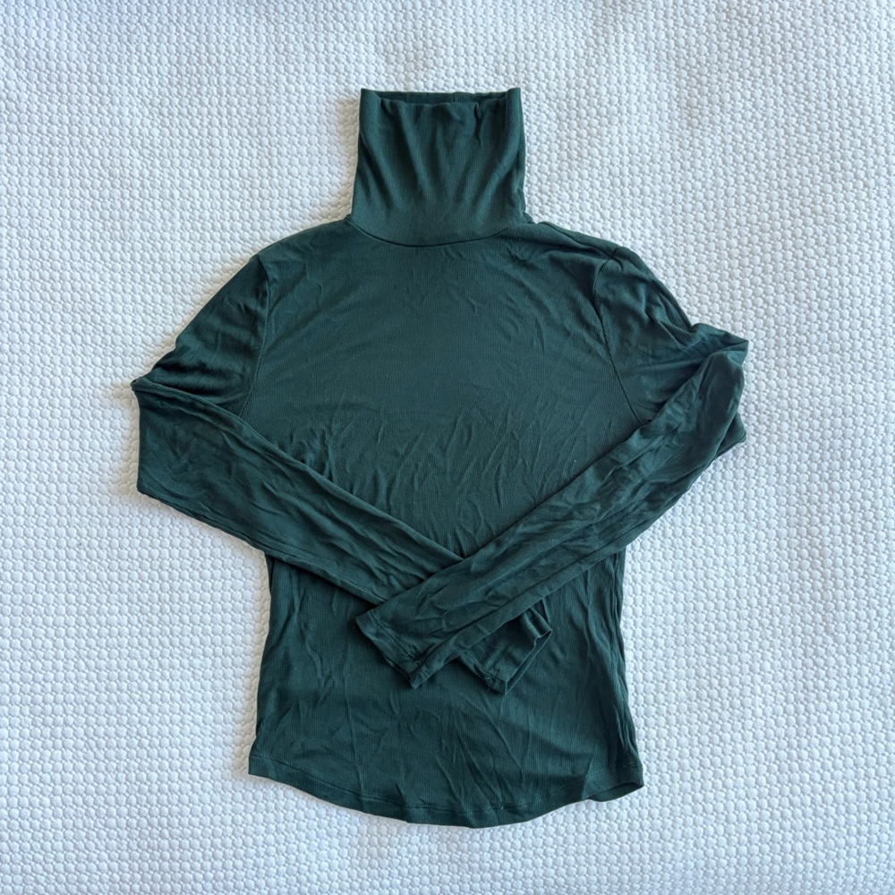 Aritzia Freshman Turtleneck